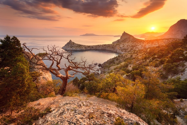 Landscape with beautiful view on mountain valley and tree, blue sky and sea at sunrise. Travel background