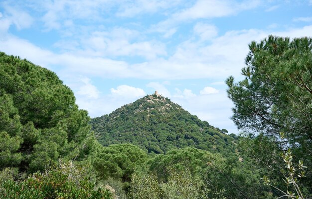 山の頂上に城がある風景