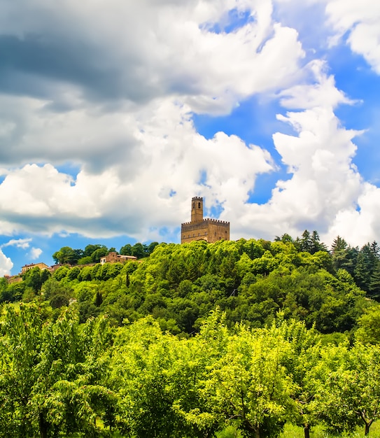 Foto paesaggio con castello