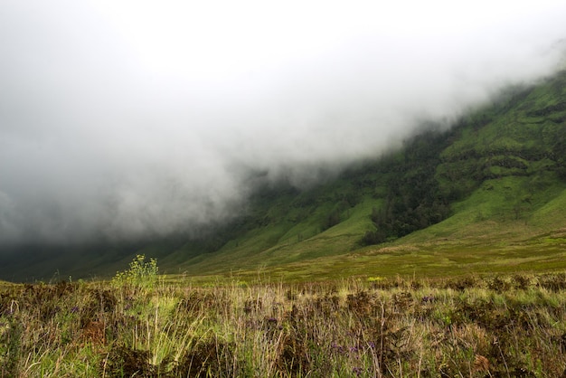 Landscape with clouds and wild untouched views