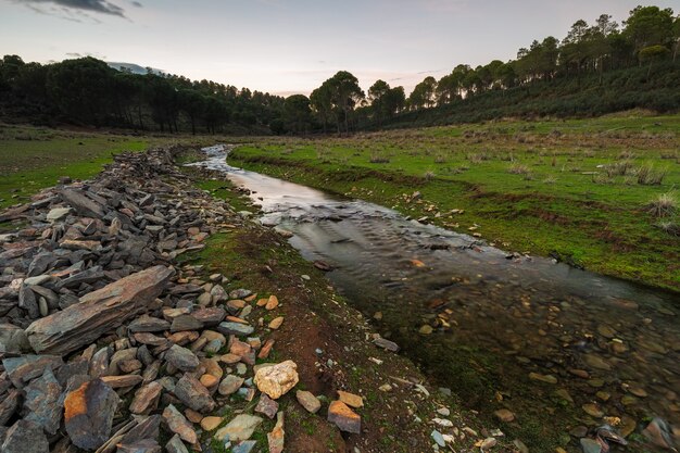 Landscape with a creek