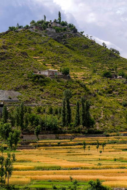 landscape with crop fields and mountains  with cloudy sky