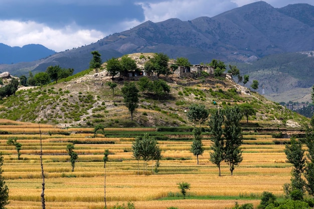 landscape with crop fields and mountains  with cloudy sky