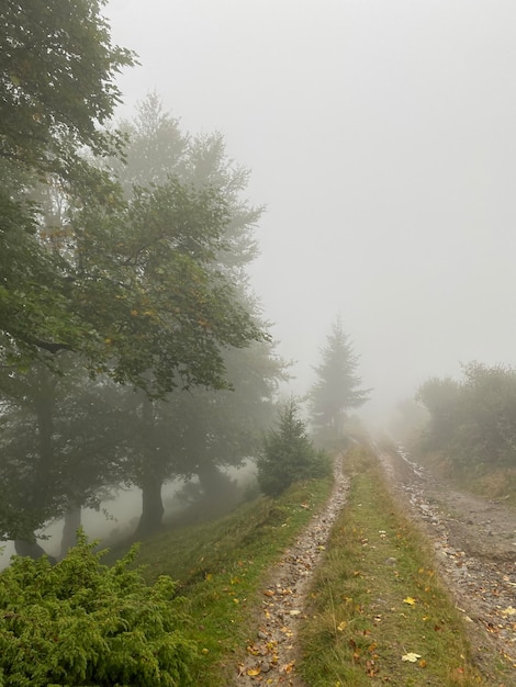 写真 曇り空の下で山の未舗装の道路のある風景