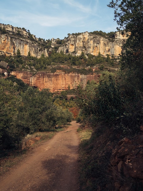 シウラナ、エル プリオラート、カタルーニャ、スペインの森と山の未舗装の道路のある風景します。