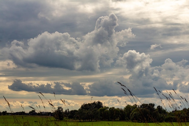 Landscape with a field and beautiful cumulus clouds