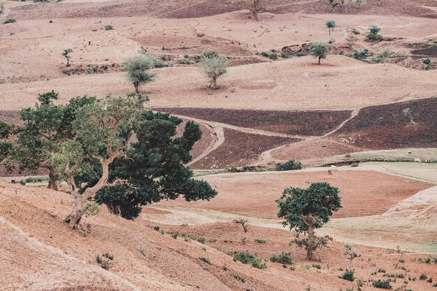 landscape with field near Gondar Ethiopia