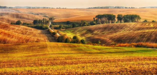 Landscape with fields and hills