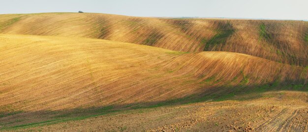 Landscape with fields and hills