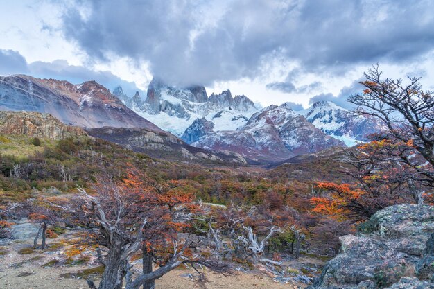 Landscape with the Fitz Roy mount in Los Glaciares National Park El ChaltenPatagonia Argentina