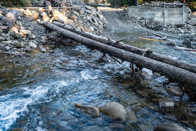 Photo landscape with forest, river and stones