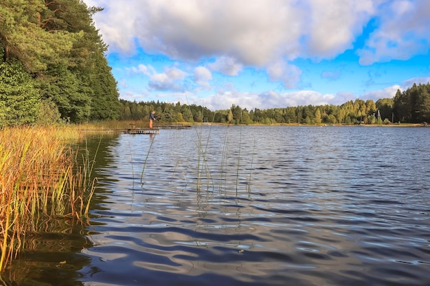 Landscape with forest and river waterway in perspective with sky and clouds