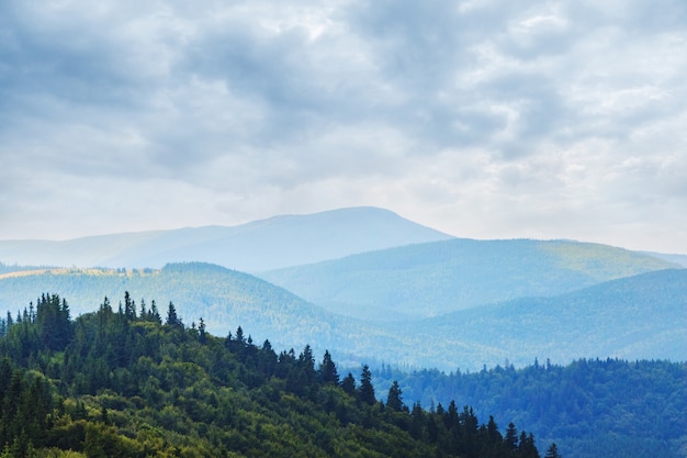 Landscape with forested mountains and cloudy sky