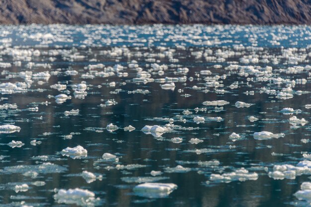 Landscape with glacier in svalbard at summer time. sunny weather.