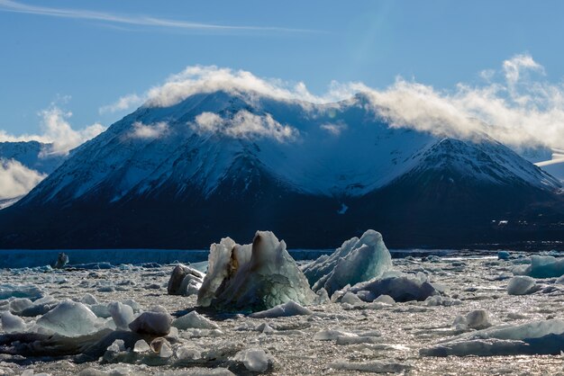 夏にはスバールバル諸島の氷河のある風景。日当たりの良い天気。