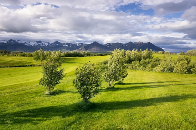 Landscape with golf courses in Iceland