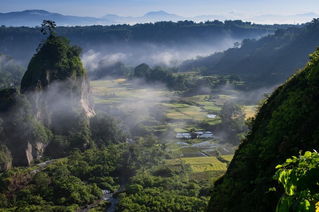 丘と野原のある風景