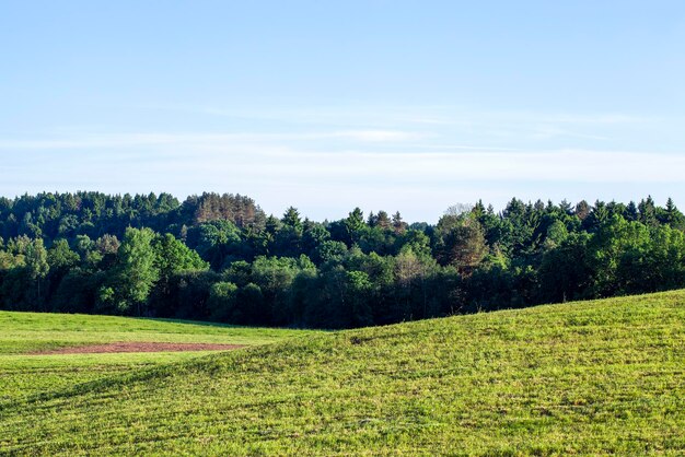 Landscape with hilly territory with plants