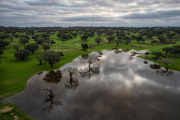 Landscape with lagoon in Dehesa de la Luz. Extremadura. Spain.