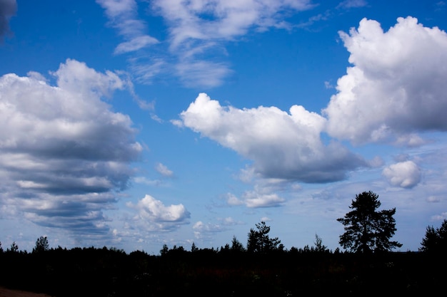 Landscape with majestic beautiful dramatic prethreatening sky Cloudy sky