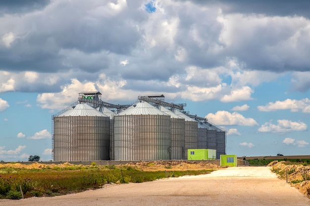 Landscape with modern agricultural Silo Set of storage tanks cultivated agricultural crops