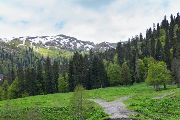 山の景色を望む風景。アブハジア