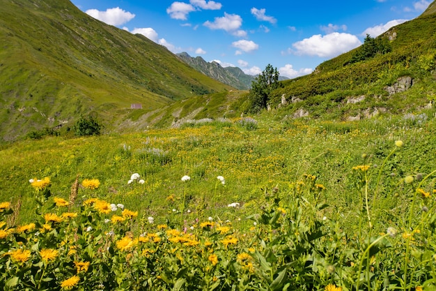 山、谷、森、牧草地が上にある風景。