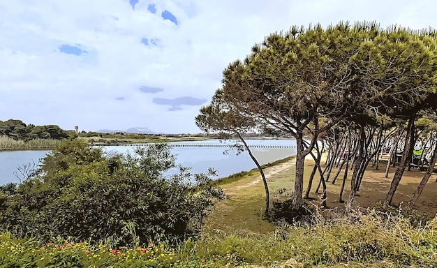 Foto paesaggio con effetto pittura. tecnica di pittura e tessitura. immagine emotiva