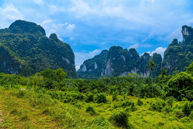 Landscape with palms and rocks cliffs Khlong Phanom National Pa