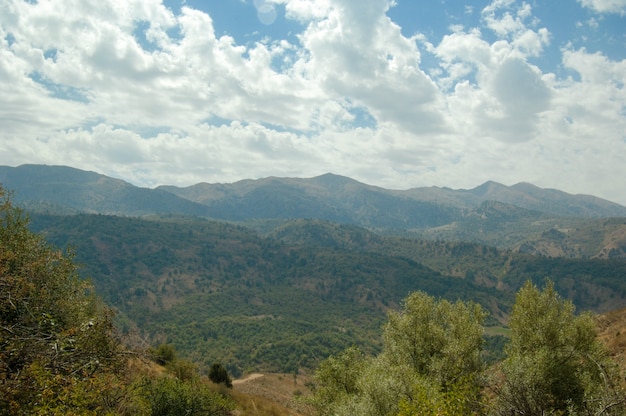 Landscape with plains and mountains. Nature of Central Asia