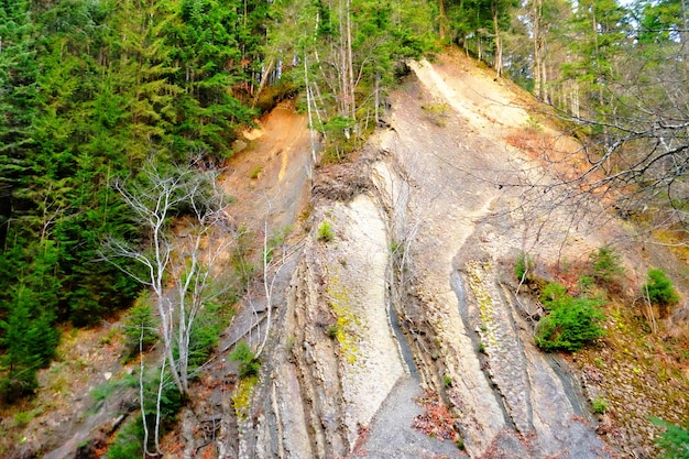 Landscape with precipice and forest