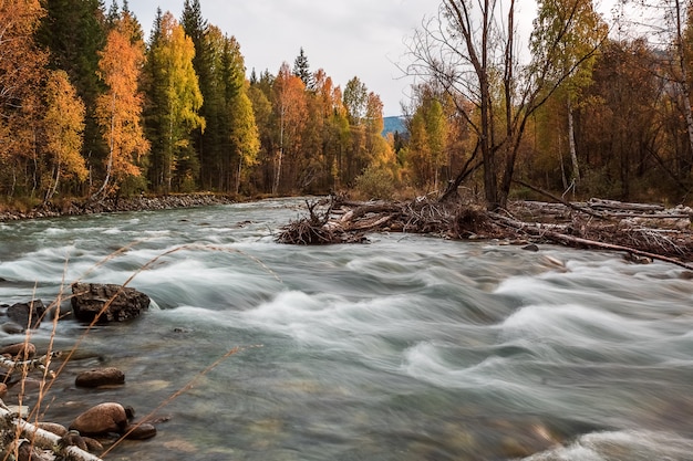 Landscape with the  river in the Altai mountains, Russia. 