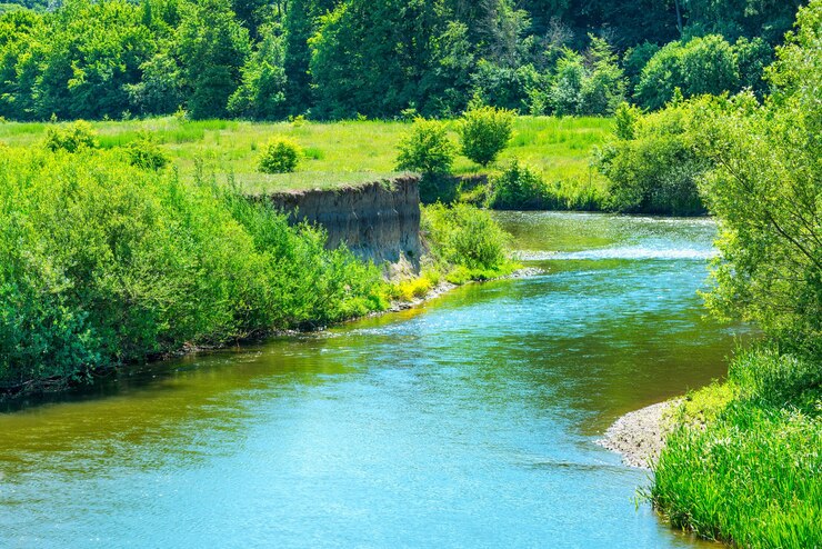 Landscape with river in the green forest