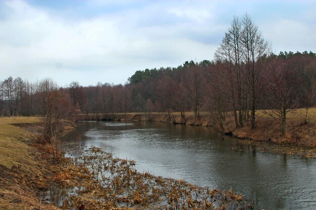 landscape with river with many trees River in cloudy weather