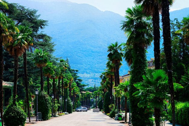 イタリアのトレンティーノのガルダ湖にあるアルコの町の道路のある風景。アルプスの丘や山々のトレント地方のヤシの木のある田園風景。緑の自然と高速道路。