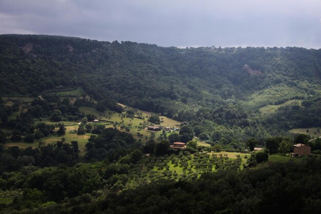 Landscape with trees in background