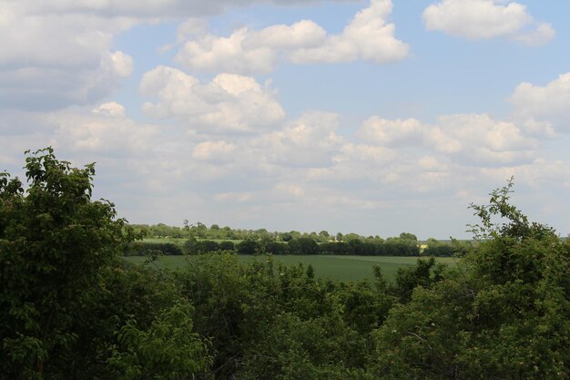 A landscape with trees and a cloudy sky