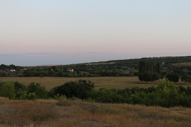 A landscape with trees and a hill