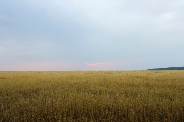 Foto paesaggio con vista sul campo infinito con tempo nuvoloso