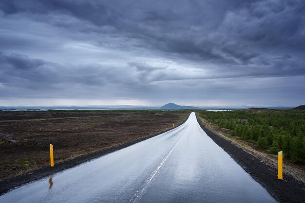 アイスランドの濡れた道路のある風景