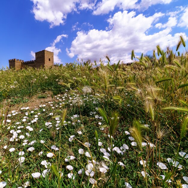 Paesaggio con fiori selvatici di diversi colori, punte e alberi. castello medievale all'orizzonte, cielo azzurro con nuvole bianche. pedraza, segovia. spagna.