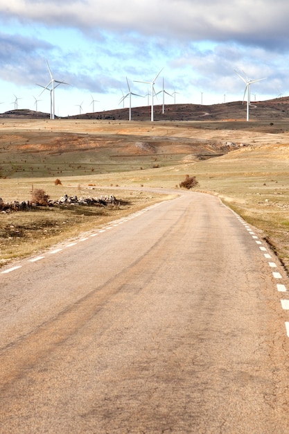 Paesaggio con parco eolico e molti mulini a vento alti