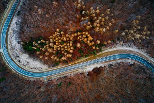 Landscape with winding road through forest aerial view