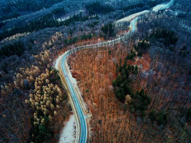 Landscape with winding road through forest aerial view