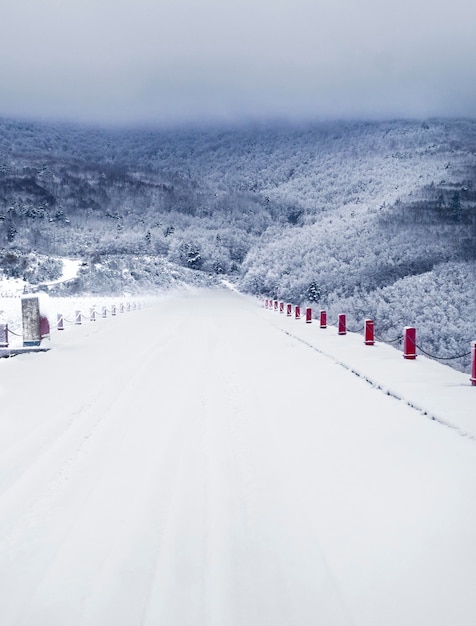 雪と霧のある冬の風景の風景