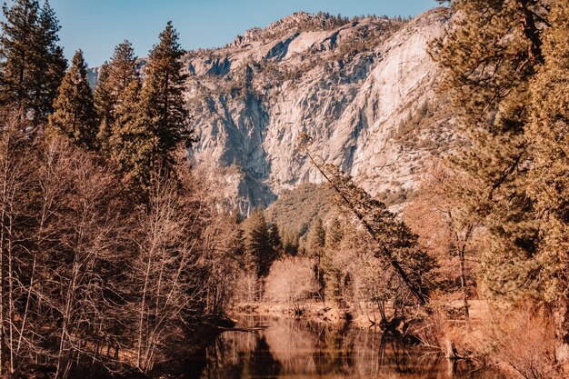 Foto parco nazionale di yosemite california del paesaggio
