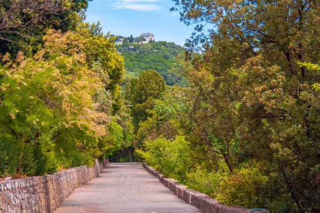 Photo landscaped alley in the park recreation area