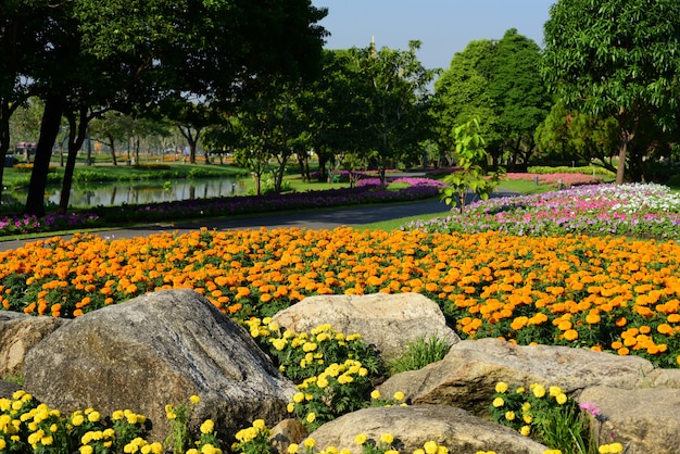 Landscaped Formal Garden. Beautiful Garden.