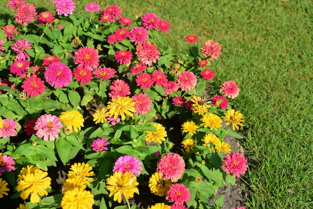 .Landscaped Formal Garden. Beautiful Garden.