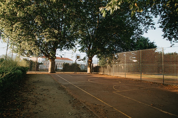 Landscaped shot of a basket